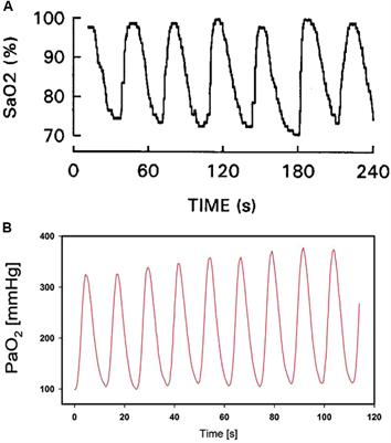 Gas Partial Pressure in Cultured Cells: Patho-Physiological Importance and Methodological Approaches